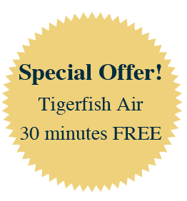 TF Special Offer